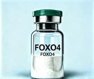 FOXO4